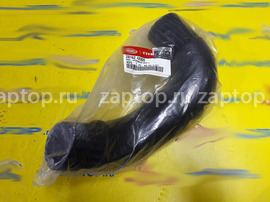 28162-4X900 Патрубок интеркулера Carnival